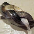 鮨 波づき （大田区下丸子）