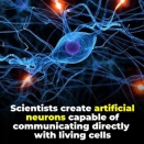 アメリカ　細胞膜は電気を生成していました