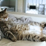 曇りのち晴れｗ