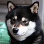 churahamaのブログ