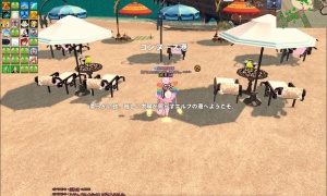 コンヌース海岸バカンス、客より警備のほうが多いｗｗｗ