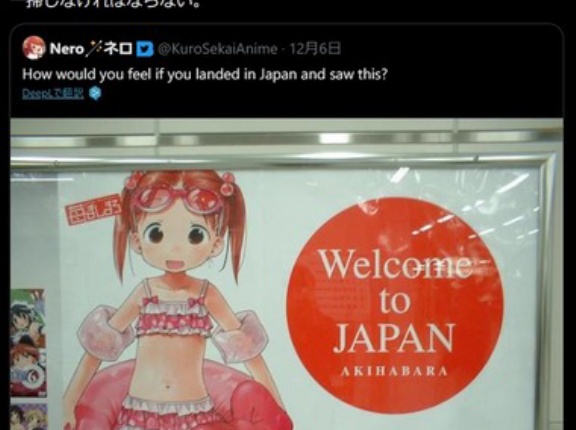 【悲報】立憲民主党の議員｢”苺ましまろ”みたいな醜悪なものを許容しているから12歳のタイ人女性を『買う』醜悪な男が街なかを涎を垂らして徘徊することになる｣