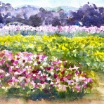 水彩的生活KUROKAWAの透明水彩画