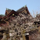 16年越しの「お預け」～梅の香りと彼女の心