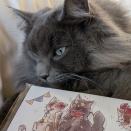 予告｜海に行こうよ!!冊子版の頒布について