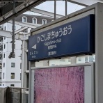 トリと自転車と私