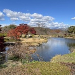 ディスカスの逍遥日誌