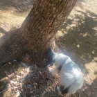 🤓🎀TVアニメ「名探偵コナン」祝放送30周年🙏