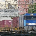ＥＦ６４・ＥＨ２００牽引貨物列車（８３レ）撮影記（2025.7.19）
