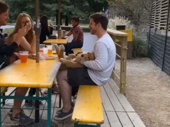 「しっぽ」ではなく「足」でハッピーを表現するタイプの犬