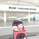 アフター万博♪　入場ゲート編　その2