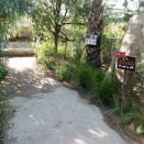 １１月の兵庫・大阪・和歌山旅行記９（神戸どうぶつ王国７）