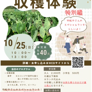 山田とことこ日記