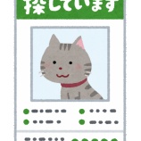 『消えた鳳月杏の行方…【月組】【宝塚】』の画像