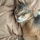 おじさんの休日的な…