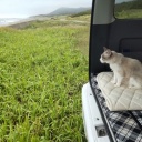 ���礯���礯�֥������о줷�Ƥ����椬�Ȥ�ǭ�Ǥ�����ī�����Ѥ��ƣ�����ʬ��ιΩ���ޤ���(>_<)