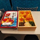 『自己紹介(田村伸紀)』の画像
