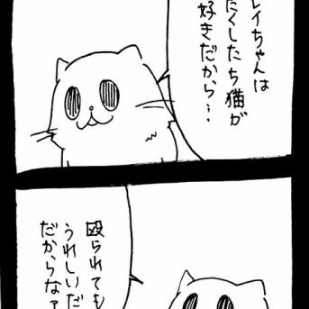 ドワーフキャットタオルちゃん37
