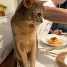 本場イタリア風のカルボナーラと豚ナス巻きグリルとかの夜ごはん
