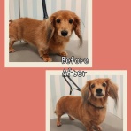 福岡県 ペットショップワンラブ イオン戸畑店のスタッフブログ