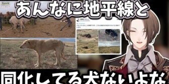 【にじさんじ】社長、バズったモンゴル犬や番犬などモンゴルロケの話