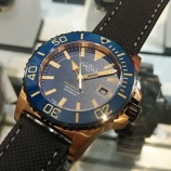 『【アルゴノーティック ブロンズ】育てる楽しみ【ダボサ】』の画像