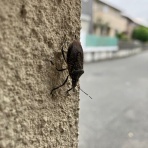 ときめき☆レーシング日記