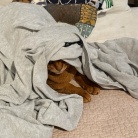 カーディガンの中の住人