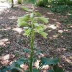 [北海道札幌]家庭教師のアルファ/家庭教師の自己採点