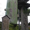 学能堂山の山芍薬とイナモリソウ