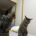 愛しのぽぽちゃん