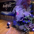 Х쥨֥The kabuki ʱΩ ڥѥ쥹
