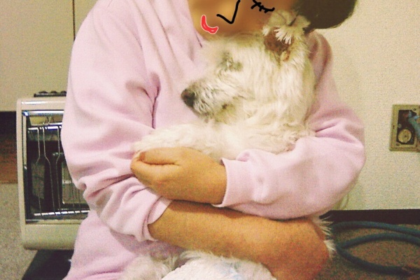 たかシェフのおうちごはん と 白い犬 と チワワ 思い出 Powered By ライブドアブログ