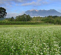 創価団体の日本で最も美しい村連合に加盟する岐阜県木曽町でもメガソーラー計画がある日本エコロジー
