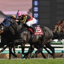 競馬予想結果2026:金鯱賞(G2)&スプリングS(G2)