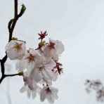 松風荘病院～公式ブログ～