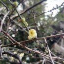 しゃべって　しゃべった裏には