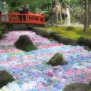 庭園の池がパステル色の紫陽花に染まる「祐徳稲荷神社」（佐賀県鹿島市）