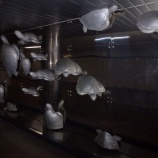 『横浜に行ってきました。』の画像