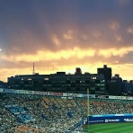 Honeywarの野球日記