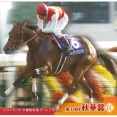 サラブレッドホースコレクション ツインウエハース 第5R【1種のカード画像　公開】12月発売予定