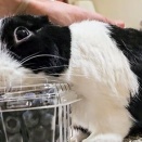 自分で開けられる？