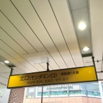 三毛猫ランチ２