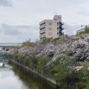 2026.4/1（水）の夕ご飯です