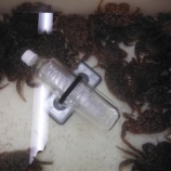 『とっとのお魚屋さん』の画像