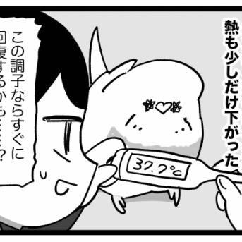 熱でた② 回復期か──(希望)