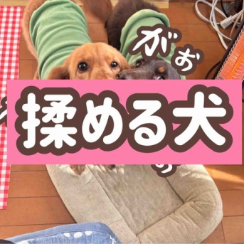 今日は揉めてます。