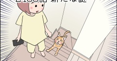 あんこ＆麦2488 新たな謎