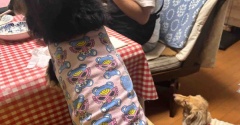 雨につき。