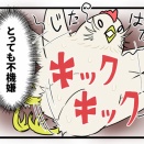ぴーちゃんはご機嫌斜め